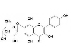 上海同田标准品草质素-7-O-鼠李糖苷Rhodionin85571-15-9中草药对照品中药对照品