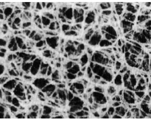 Munktellregeneratedcellulosemembranefilters