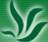 绿百草科技现货提供阿托伐他汀钙标准品