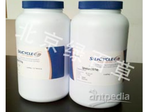 北京绿百草科技专业提供分离糖醛酸SilicycleODS填料