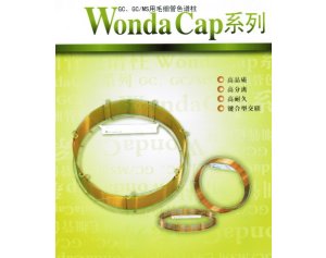 WondaCapWAX强极性柱