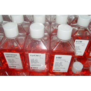 RPMI-1640培养基（含L-谷氨酰胺，含酚红指示剂