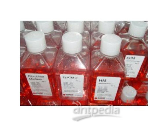 RPMI-1640培养基（含L-谷氨酰胺，含酚红指示剂）