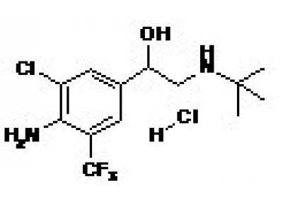 MabuterolHydrochloride马布特罗盐酸盐标准品