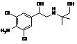 Hydroxymethylclen-buterol<em>羟</em><em>甲基</em><em>克伦</em><em>特</em><em>罗</em><em>标准</em><em>品</em>