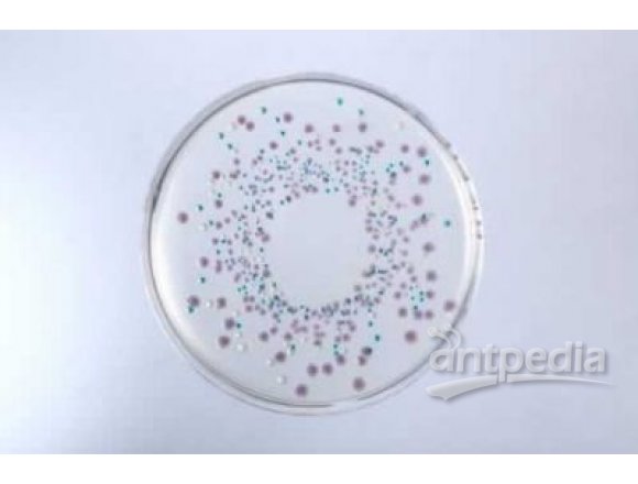 大肠菌群大肠杆菌显色培养基（ECC）(ChromogenicColiform＆E.coliAgar)
