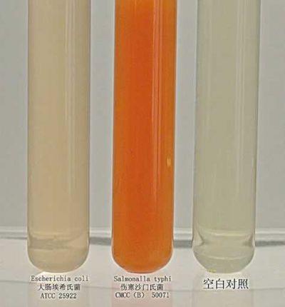 亚硒酸盐胱氨酸增菌液(SC)(SeleniteCystineBroth
