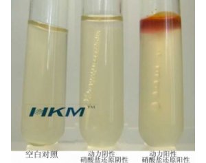 动力―硝酸盐培养基(A法)(Motility-NitrateReductionTestMedium)