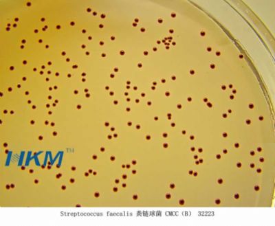KF链球菌琼脂培养基(KFStreptococcousAgar
