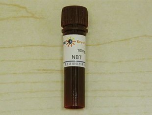 <em>NBT</em>氯化硝基四氮唑兰