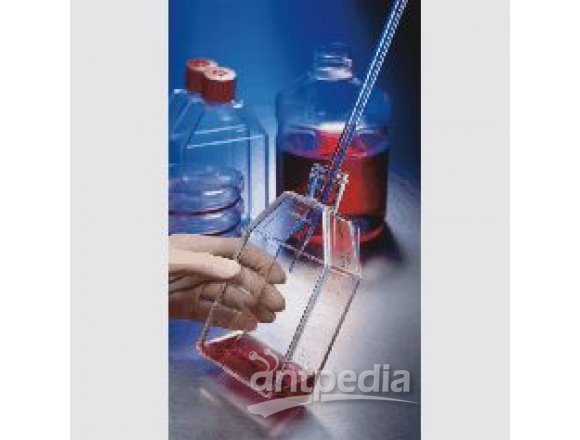 CellBIND表面细胞培养瓶
