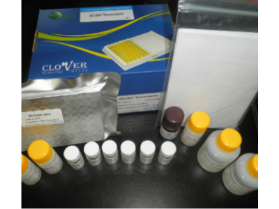 磺胺喹噁啉检测试剂盒