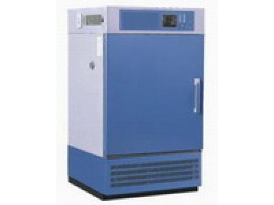 (一恒) BPS-250CB恒温恒湿箱（可程式液晶屏）