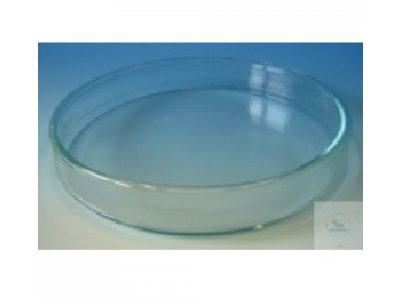 100mm玻璃培养皿，高15mm