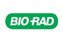 Bio-Beads S-X3 Beads  聚苯乙烯凝胶填料 200-400目