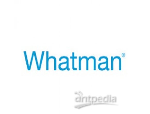 Whatman GF/F玻璃纤维滤纸（无粘合剂 ），0.7um