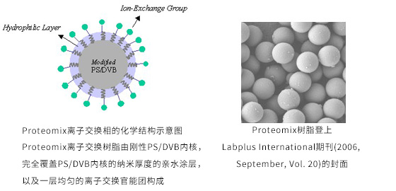 Proteomix SAX-<em>NP</em><em>系列</em>离子交换色谱柱