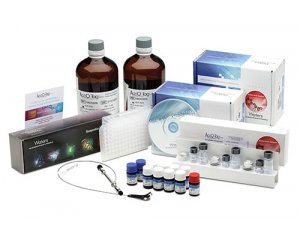 waters 沃特世 氨基酸分析标准品与试剂盒 176004534