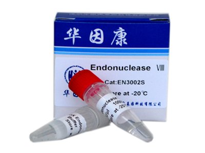 EndonucleaseVIII