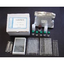 DDT检测试剂盒
