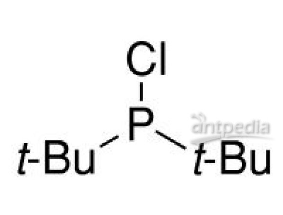 二叔丁基氯化磷