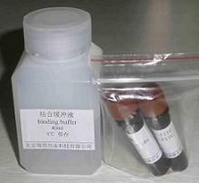 ANNEXINV-FITC细胞<em>凋亡</em>检测试剂盒