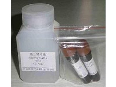 ANNEXINV-FITC细胞凋亡检测试剂盒