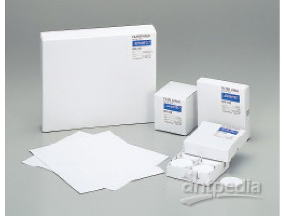 AdvantecQR-200石英纤维滤纸