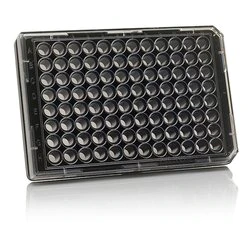 Thermo Scientific™ 165305 96 Well Black/Clear Bottom Plate, <em>TC</em> Surface, Pack of 10