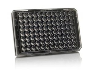 Thermo Scientific™ 96 Well Black/Clear Bottom Plate, Collagen I Coated Surface, Pack of 5