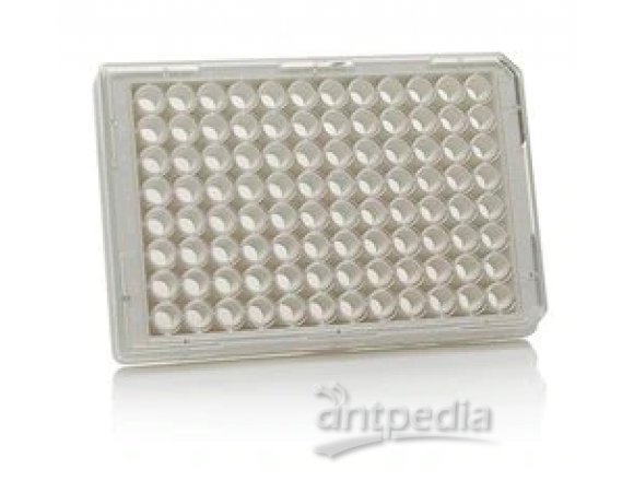 Thermo Scientific™ 152028 Nunc™ MicroWell™ 96-Well, Poly-D Lysine-Treated, Flat-Bottom, Optical Polymer Base Microplate