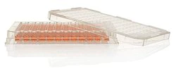 Thermo Scientific™ 161093 Nunc™ MicroWell™ 96-Well, Nunclon Delta-Treated, <em>Flat-Bottom</em> Microplate