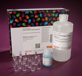 Pierce™ BCA 蛋白<em>检测试剂盒</em> 23227 500 mL