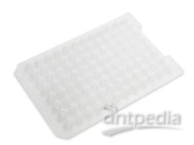 Thermo Scientific™ 60180-M126 MicroMat™ CLR Silicone Mats for Well Plates