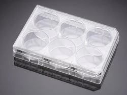 Thermo Scientific™ 08-772-1B <em>Polystyrene</em> Microplates