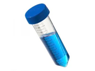 Thermo Scientific™ 055395 Easy Reader™ Conical Polypropylene Centrifuge Tubes
