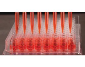 Thermo Scientific™ 267578 Nunc™ Edge™ 96-Well, Non-Treated, Flat-Bottom Microplate
