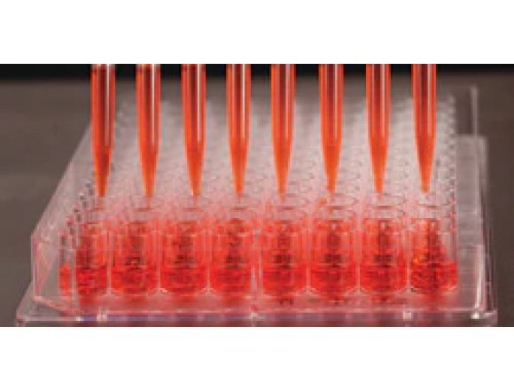 Thermo Scientific™ Nunc™ Edge™ 96-Well, Non-Treated, Flat-Bottom Microplate