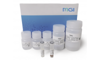 MGIEasy 粪便基因组DNA（人源）提取试剂盒