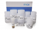 MGIEasy 粪便基因组 DNA（meta）提取试剂盒