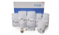 MGIEasy 粪便基因组 DNA（meta）提取试剂盒