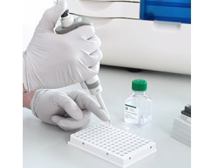片段分析仪系统 CRISPR 试剂盒