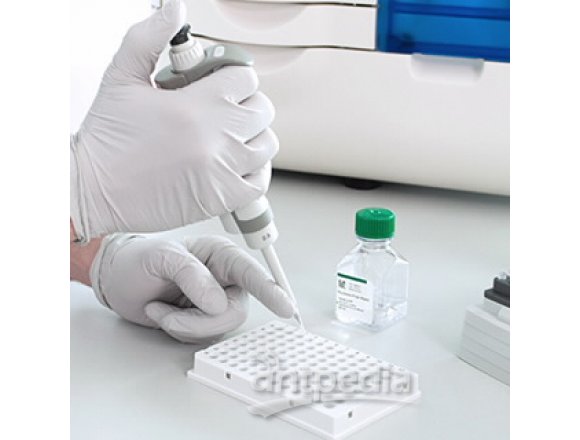 片段分析仪系统 CRISPR 试剂盒