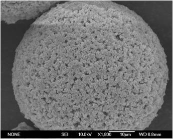 亲水覆层超大孔聚合物微球介质