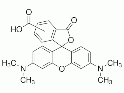 5(6)-羧基四甲基罗丹明，98181-63-6，≥85% (sum of isomers, HPCE),Used for fluorescence analysis