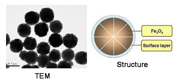 四氧化三铁<em>磁性</em>纳米微球，1317-61-9，<em>基质</em>:Fe3O4,<em>表面</em><em>基团</em>:-SiOH,<em>粒径</em>:100-200 nm,<em>单位</em>:<em>5mg</em>/<em>ml</em>