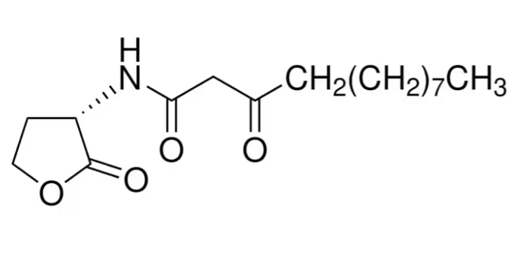 N-(3-氧代<em>十二</em><em>烷</em><em>酰</em><em>基</em>)-<em>L</em>-高丝氨酸内酯，168982-69-2，97%