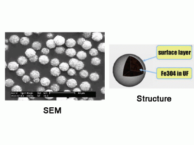 脲醛树脂磁性微球，基质:UF,表面基团:-SiOH,粒径:2-3μm,单位:10mg/ml