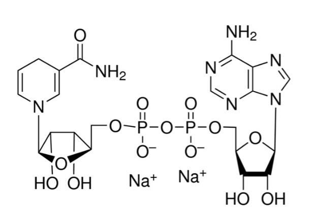 还<em>原型</em><em>辅酶</em>I <em>二</em>钠(β-NADH)，606-68-8，≥95%