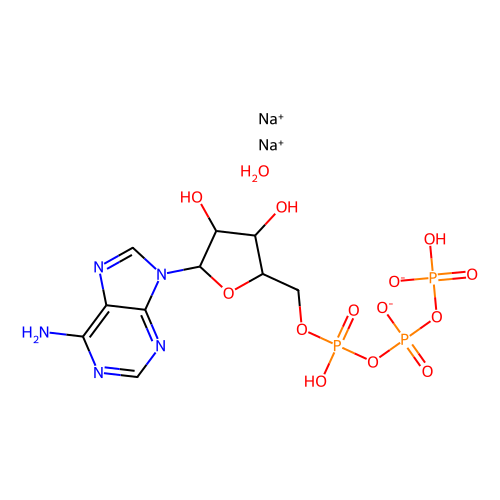 腺苷-<em>5</em>′-<em>三</em>磷酸 二钠盐 <em>水合</em>物，34369-07-8，98%